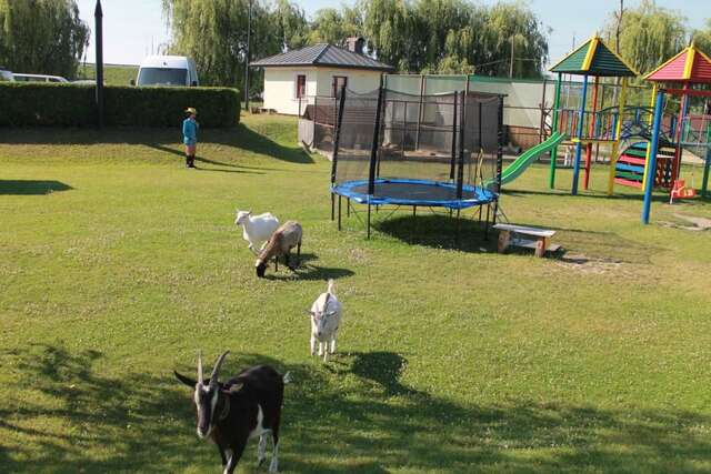 Отель Усадьба Рыньковка Брест-17