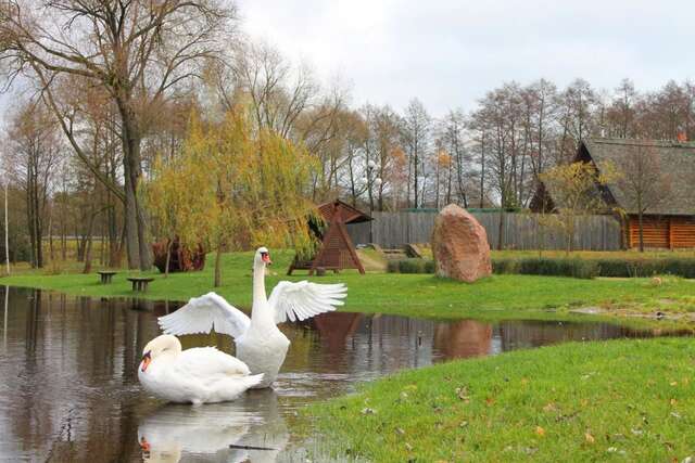 Отель Усадьба Рыньковка Брест-20