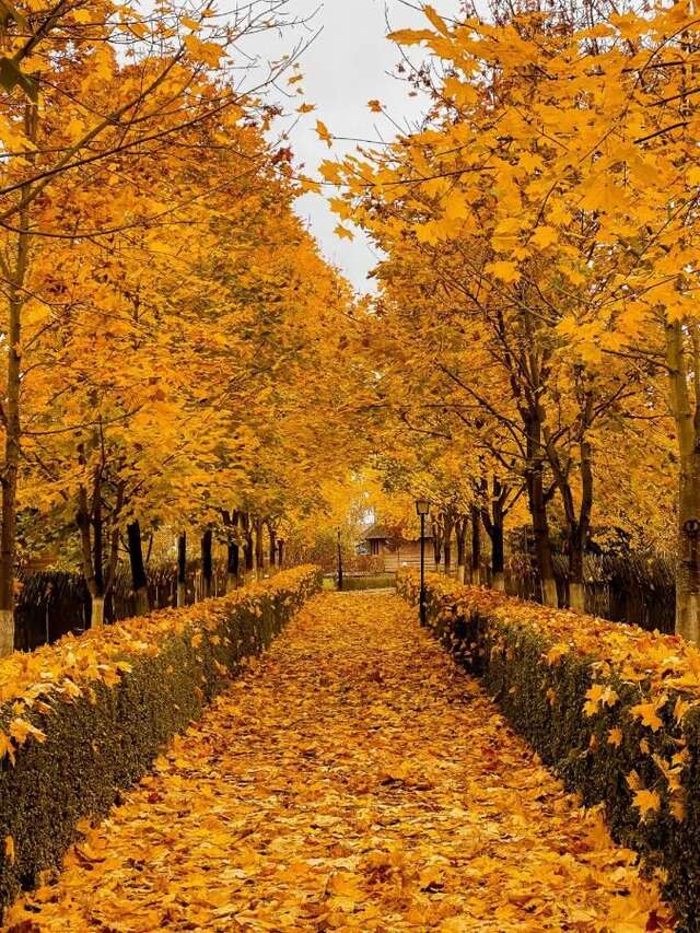 Отель Усадьба Рыньковка Брест-8